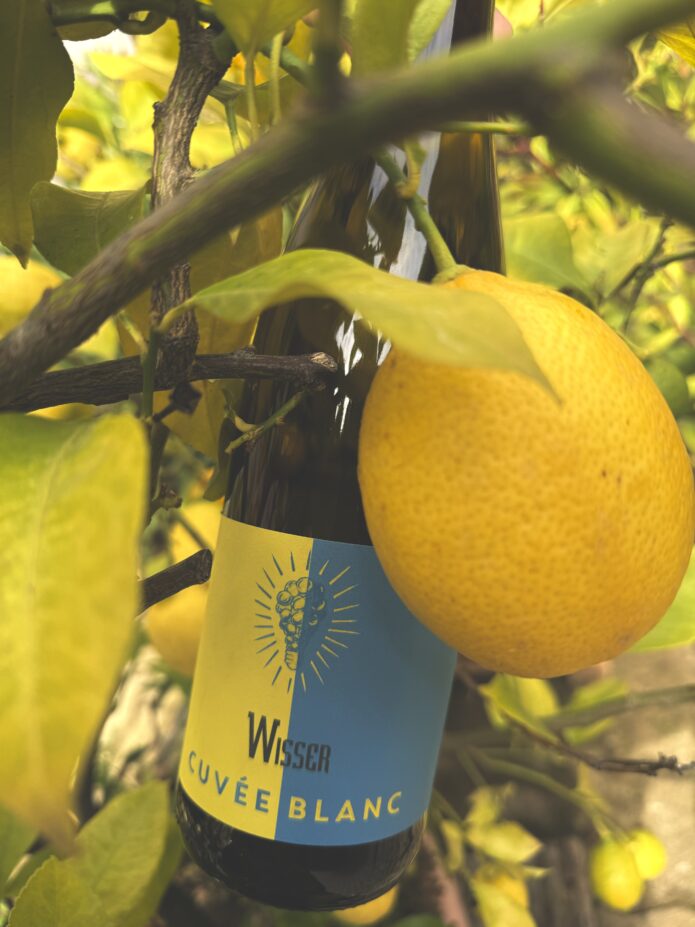 Cuvée Blanc – Weingasthaus Wisser