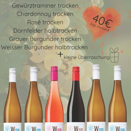 6er Weinvielfalt